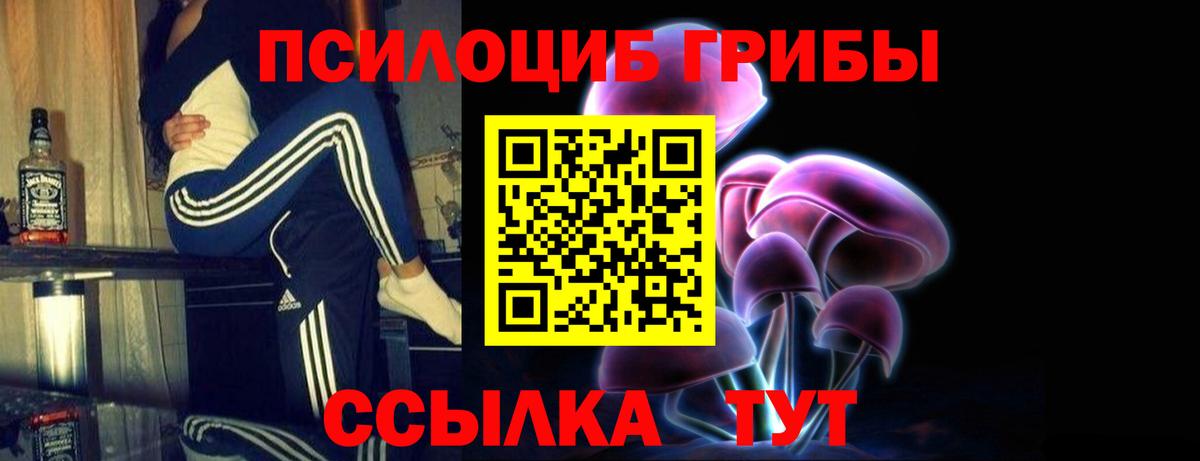 Октябрьский  как найти закладки  Вход с VPN  Галлюциногенные грибы Psilocybe 